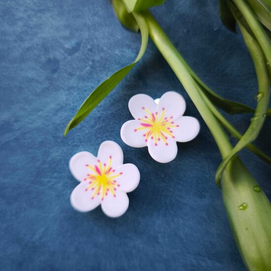 Klipši Balti ķiršu ziedi